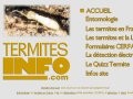 Détails : Termites Info